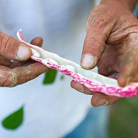 Montanema Handmade Village